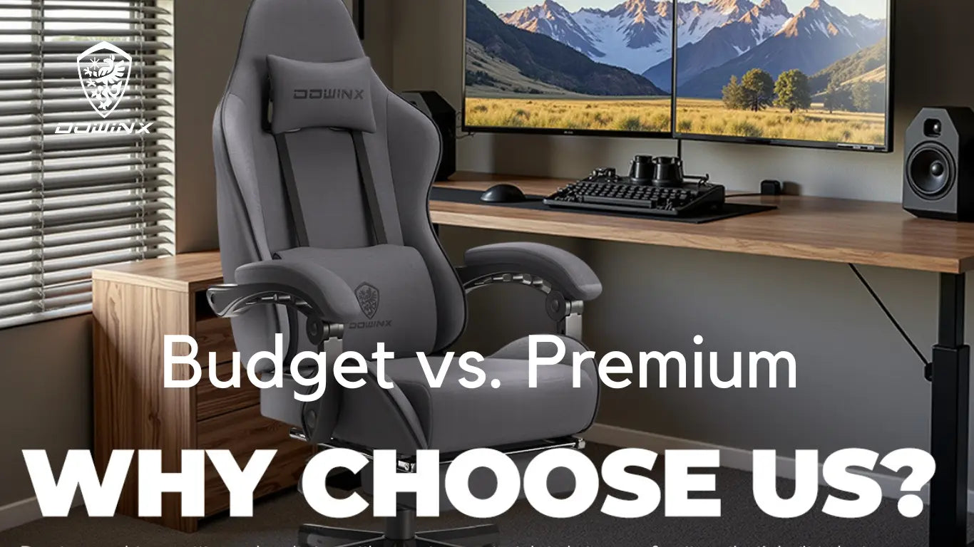 Budget vs. Premium Gaming Chairs: Which One is Right for You? DOWINX GAMING CHAIR