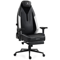Dowinx 66D7A Premium Gaming Chair – Black, 4-Way Lumbar Support & Magnetic Headrest DOWINX GAMING CHAIR