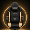 Dowinx LS-66D38 Pro Gaming Chair with Heating, Cooling & Massage DOWINX GAMING CHAIR