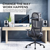 Dowinx Ergonomic Office Chair (Black)